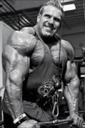 JayCut156.jpg