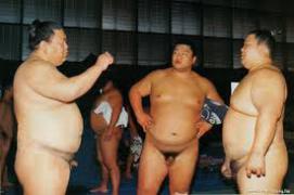 sumo.jpg