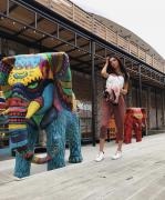 6D34D09D-AEA2-445C-8285-8D39CEC2530B.jpeg