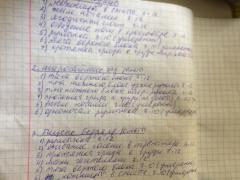IMG_5671.JPG