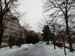 IMG_20181117_124453.jpg