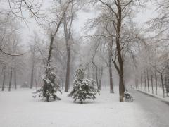 IMG_20190117_153338.jpg
