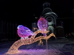 IMG_20190108_223112.jpg