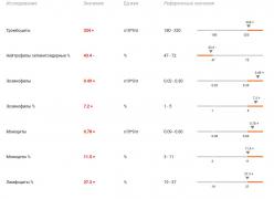 025AABE8-2B6D-4869-9A63-2E9C855AD11C.jpeg