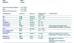 INVITRO Asd0111.jpg