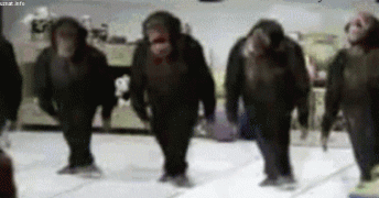 Асса.gif
