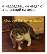 kusna76pEaY.jpg