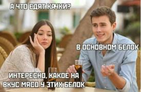 Capture.JPG