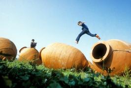 SAVE_20210119_221341.jpg