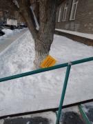 IMG_20220103_170227.jpg