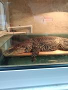 IMG_20220103_165929.jpg
