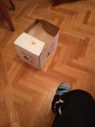 IMG_20220110_205428280.jpg
