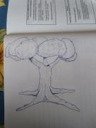 IMG_20220126_173038761.jpg