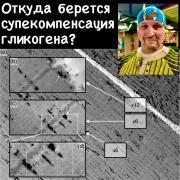 323741952_1119167675432164_628880655386564368_n.jpg