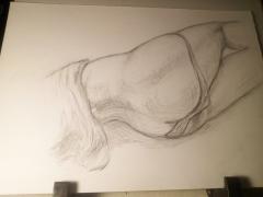 IMG_20230112_005121.jpg
