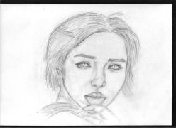 003.jpg