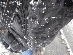 IMG_20230109_131525238.jpg