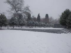 IMG_20230109_110332011.jpg