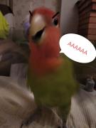 6C91B58B-2C17-4AC7-AAB0-CA510BD2E26B.jpeg