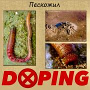 sportinjuryrussia_1704476605022.jpeg