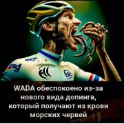 sportinjuryrussia_1704476995416.jpeg