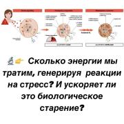 5A187D35-3A2D-4C99-BC09-36E9612D41AF.jpeg
