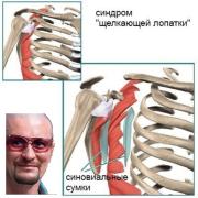 4D0CE4FA-8F05-4809-AF8E-C37D8A3A4CF1.jpeg