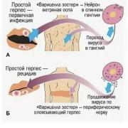 9A99FE7A-7FE4-4EC1-A6AF-A53959AB8CD6.jpeg