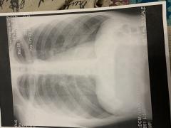 IMG_8528.jpeg
