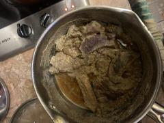 IMG_8535.jpeg
