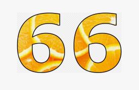 66.jpg