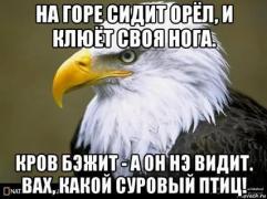 Орел.jpg