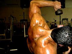 253delt2.jpg