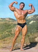 arnold_schwarzenegger_2.jpg
