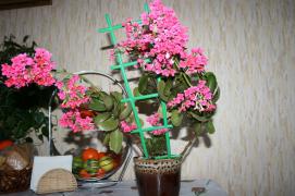 14.02_049.jpg