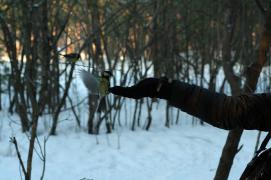 IMG_3921.JPG