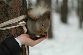 IMG_3953.JPG