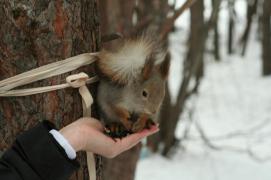 IMG_3957.JPG