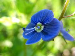 IMG_0535.jpg