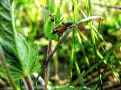 IMG_0542.jpg