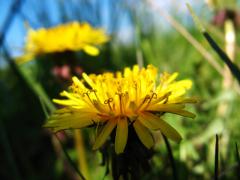 IMG_0543.jpg