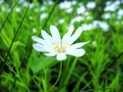 IMG_0546.jpg