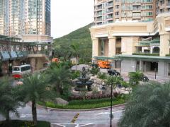 IMG_2890_1.jpg