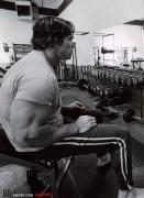 440.jpg