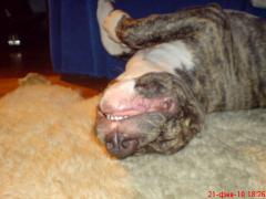 DSC00022.JPG