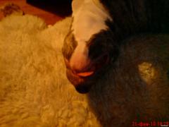 DSC00020.JPG