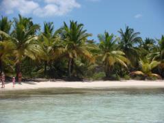 dsc00811u.jpg