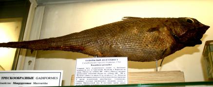 IMG_7924.JPG