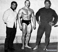 arnold001.jpg