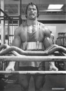 arnold007.jpg
